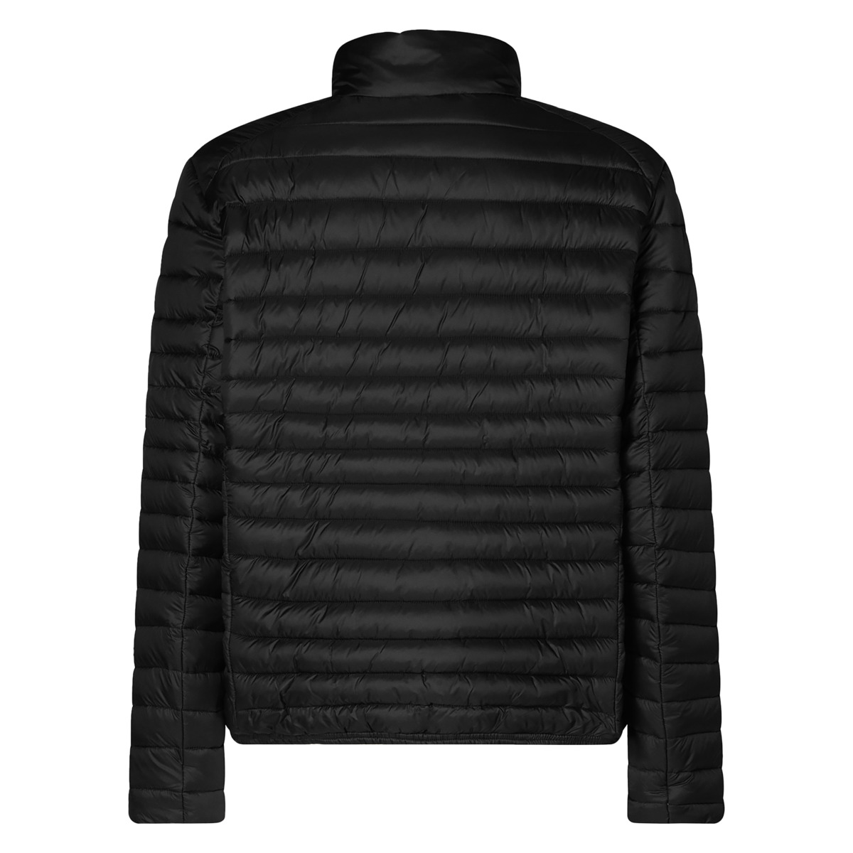 Save the Duck Alexander Steppjacke schwarz Save the Duck Alexander Steppjacke schwarz
