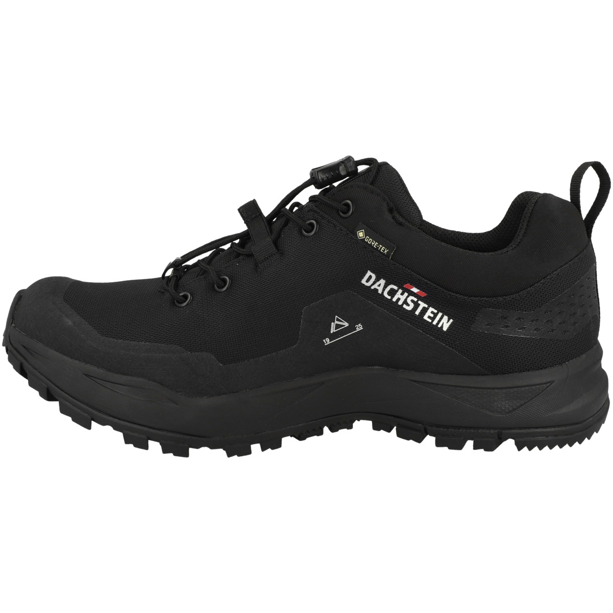 Dachstein Delta Peak GTX Outdoorhalbschuhe schwarz