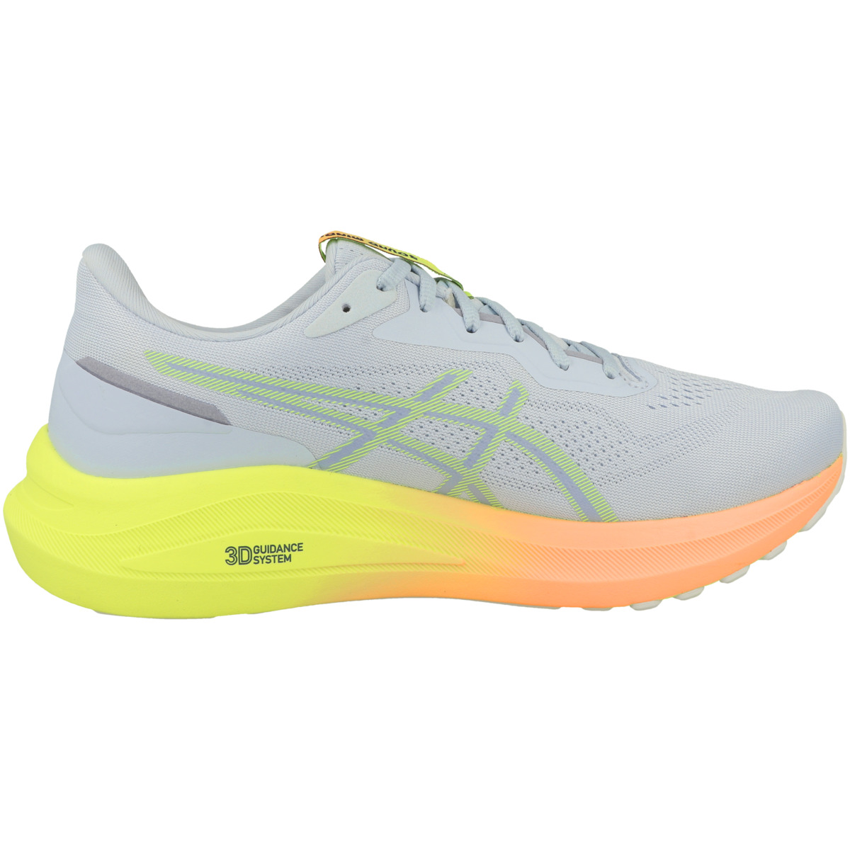 Asics GT-1000 13 Paris Laufschuhe grau