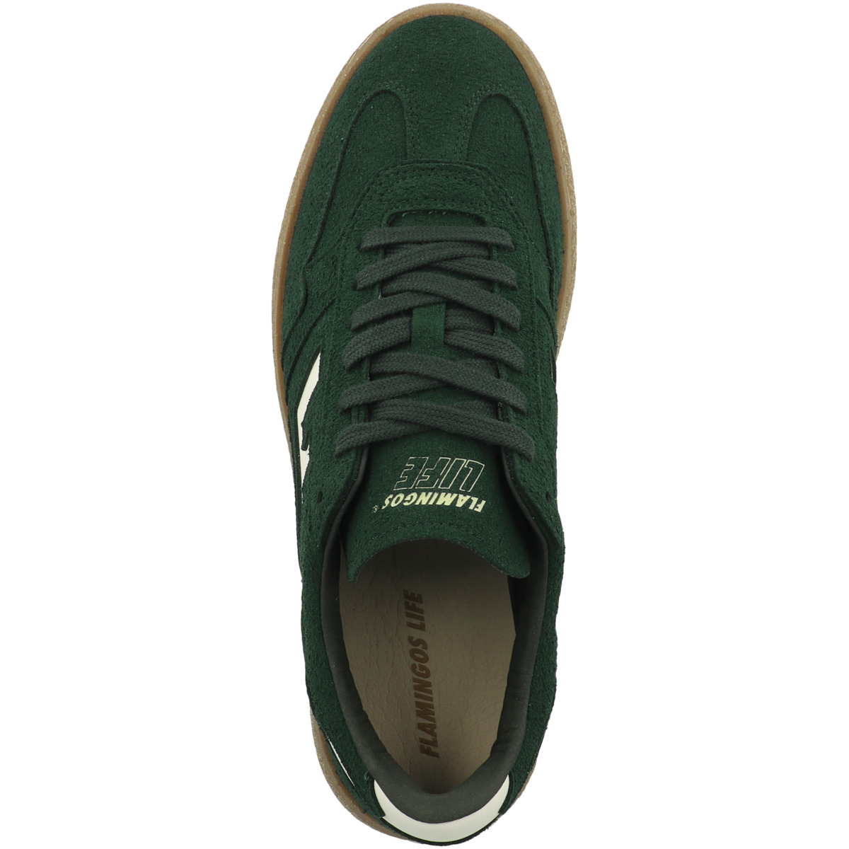 Flamingos Life Burela Bold Sneaker low gruen
