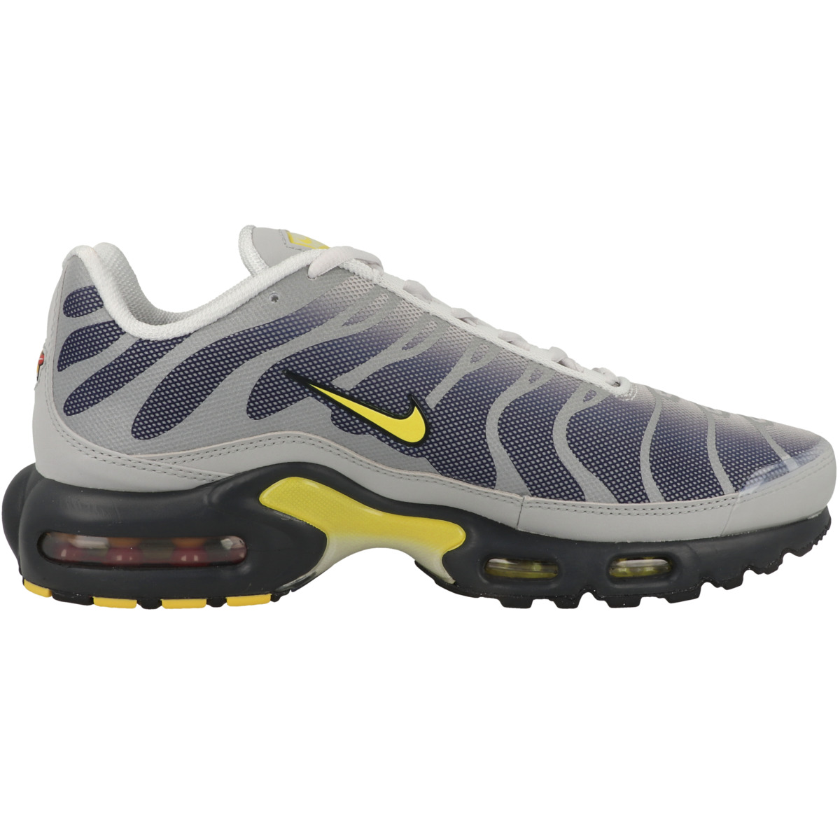 Nike Air Max Plus Sneaker silber