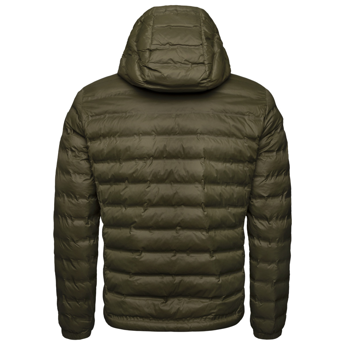 Blauer Charles Steppjacke dunkelgruen Blauer Charles Steppjacke dunkelgruen