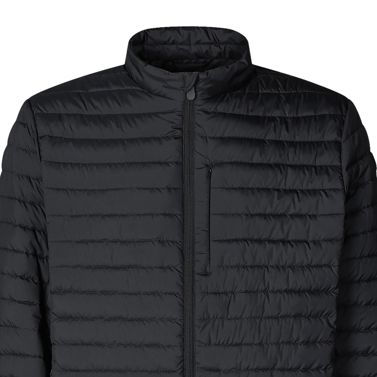 Save the Duck Cole Steppjacke schwarz Save the Duck Cole Steppjacke schwarz