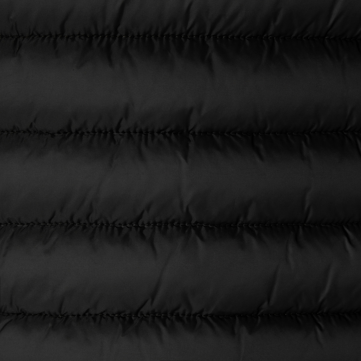 Save the Duck Daisy Steppjacke schwarz Save the Duck Daisy Steppjacke schwarz