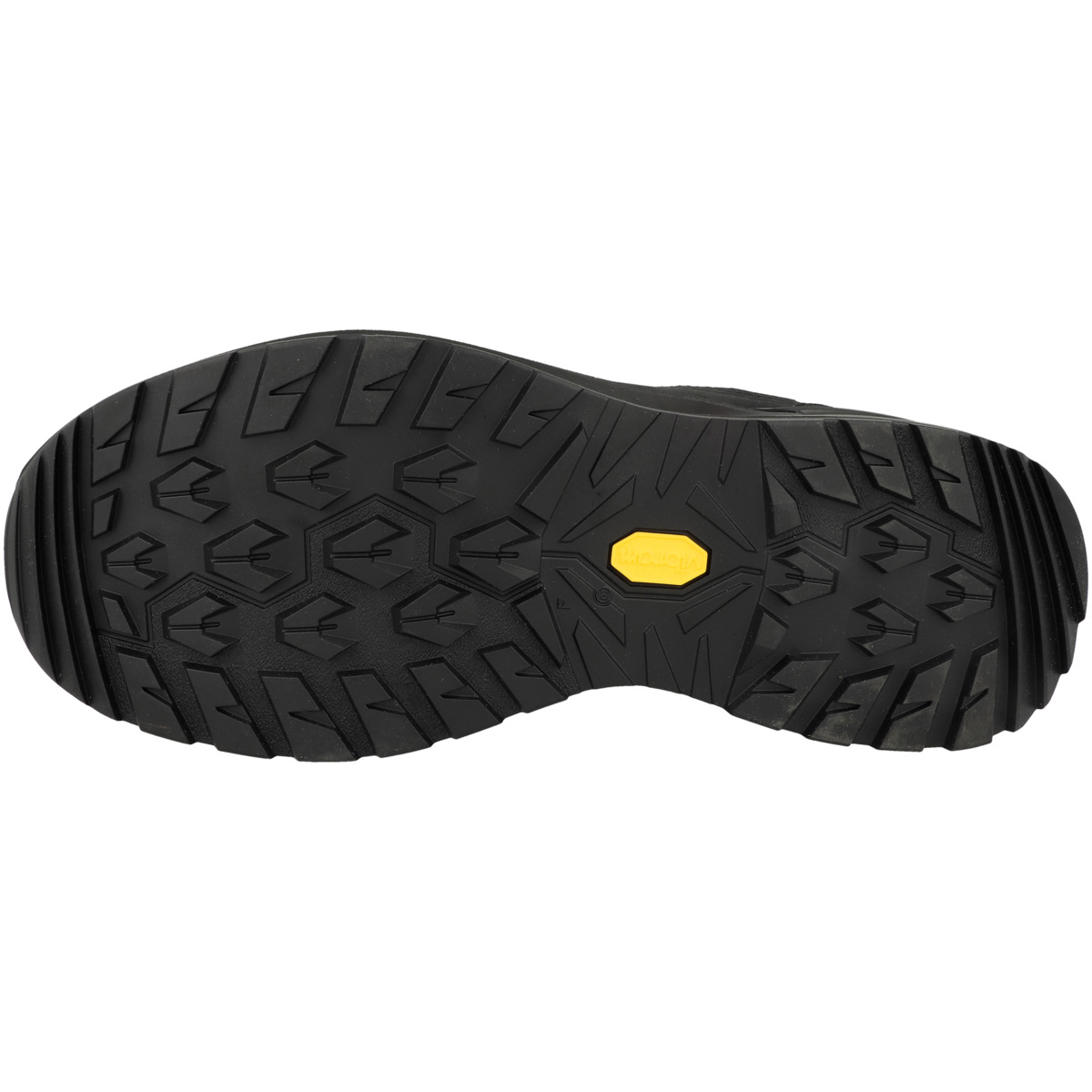 LOWA Renegade Evo GTX LO Outdoor Schuhe schwarz