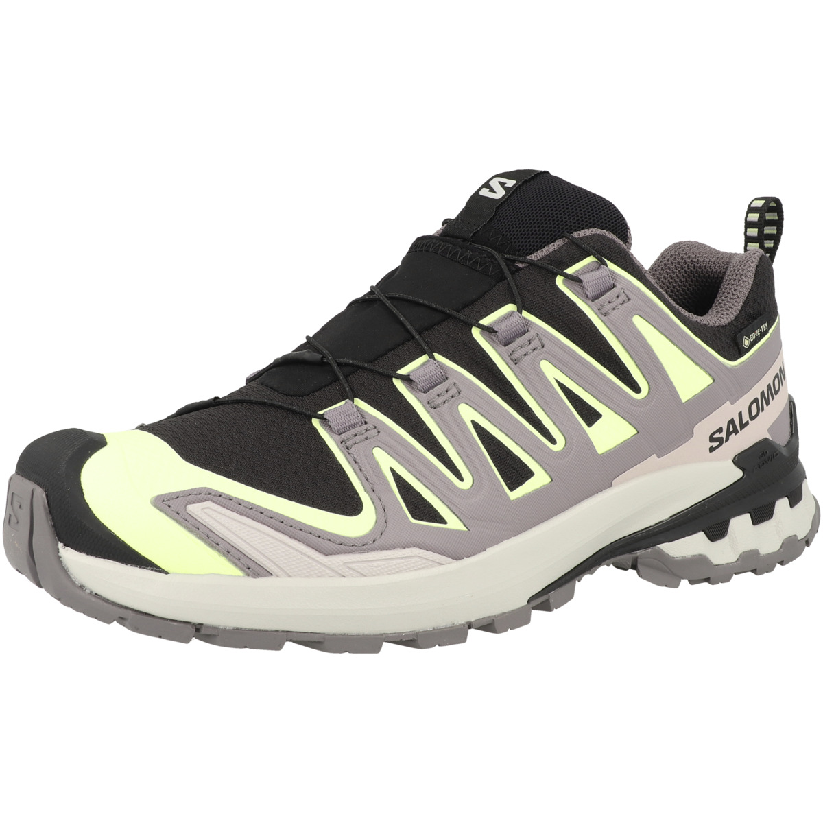 Salomon XA PRO 3D V9 GTX Women Trailrunning Schuhe schwarz