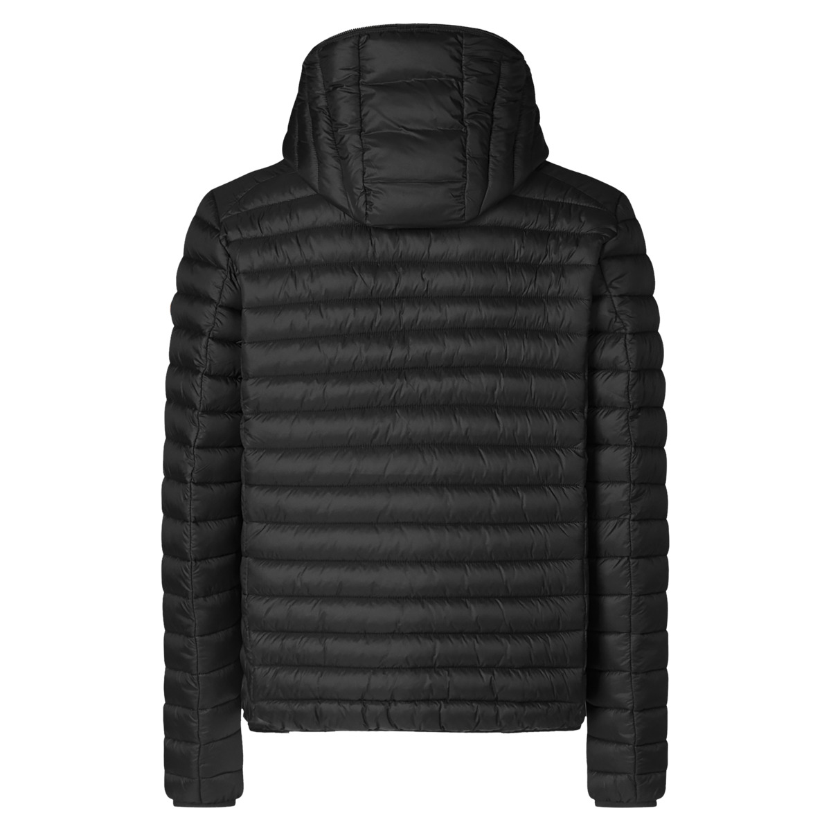 Save the Duck Donald Steppjacke schwarz Save the Duck Donald Steppjacke schwarz