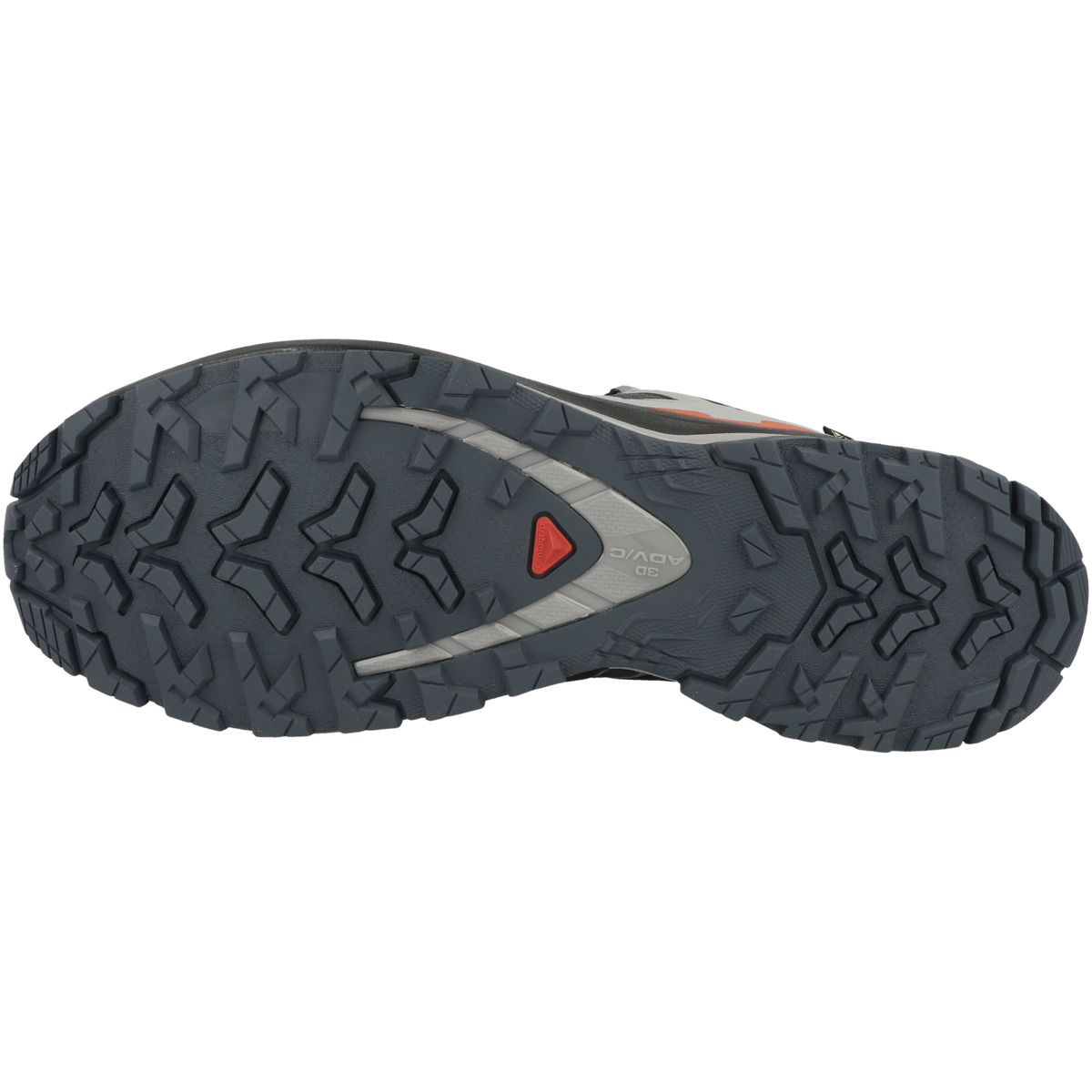 Salomon XA PRO 3D V9 GTX Trailrunning Laufschuhe grau