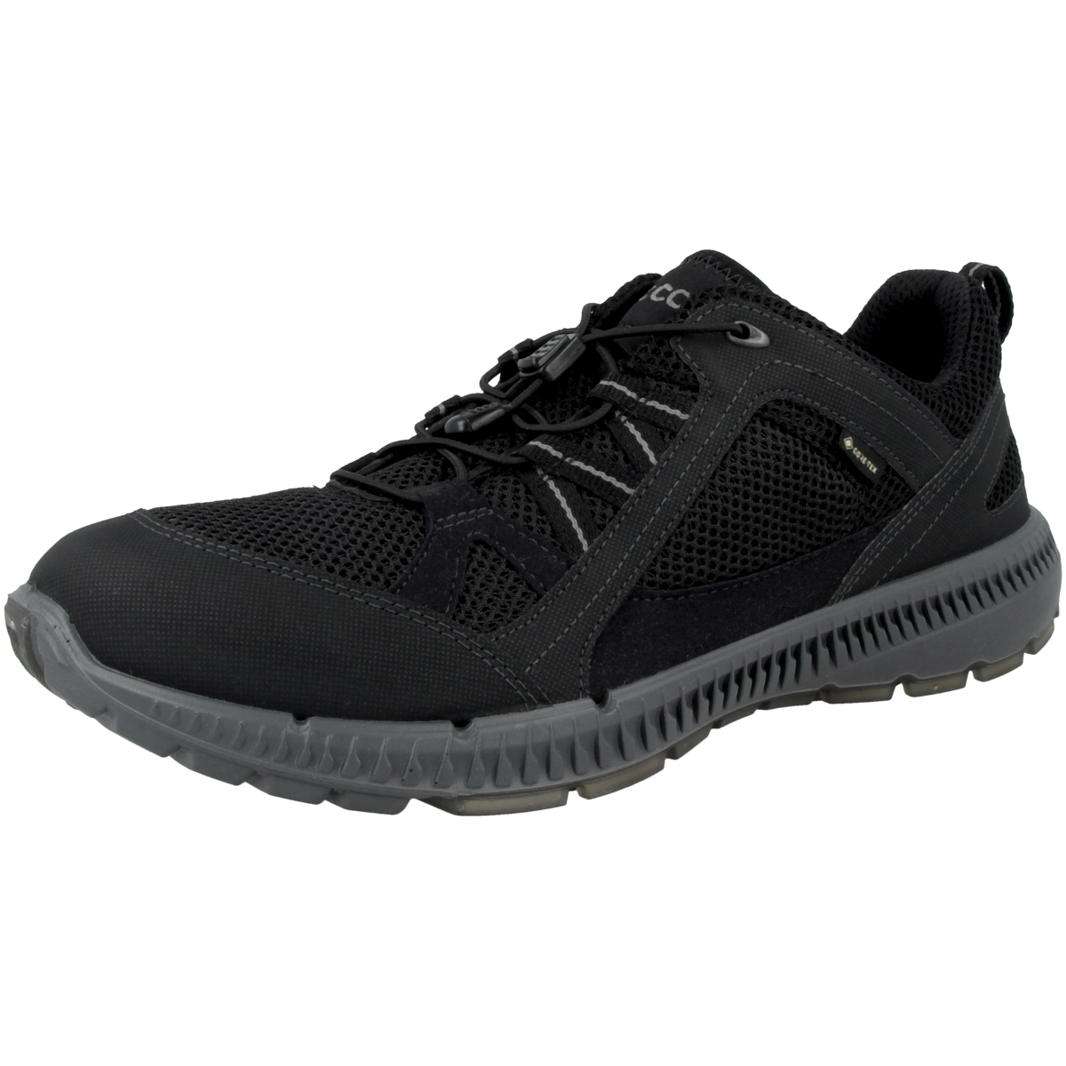 Ecco Terracruise II M Outdoorschuhe schwarz Ecco Terracruise II M Outdoorschuhe schwarz