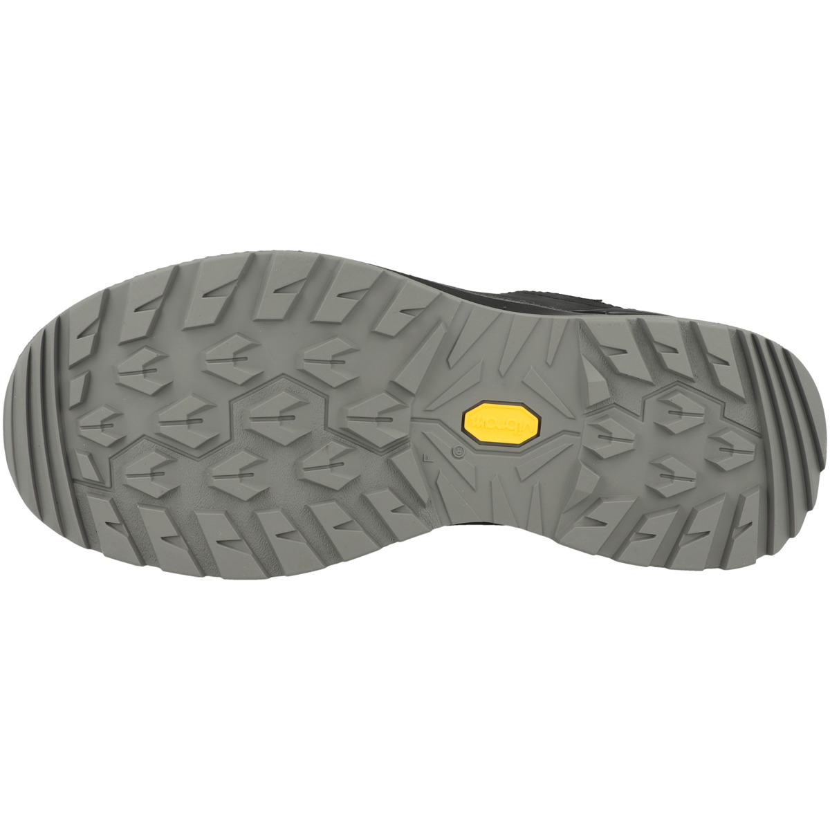 LOWA Renegade Evo GTX LO Outdoor Schuhe dunkelgrau