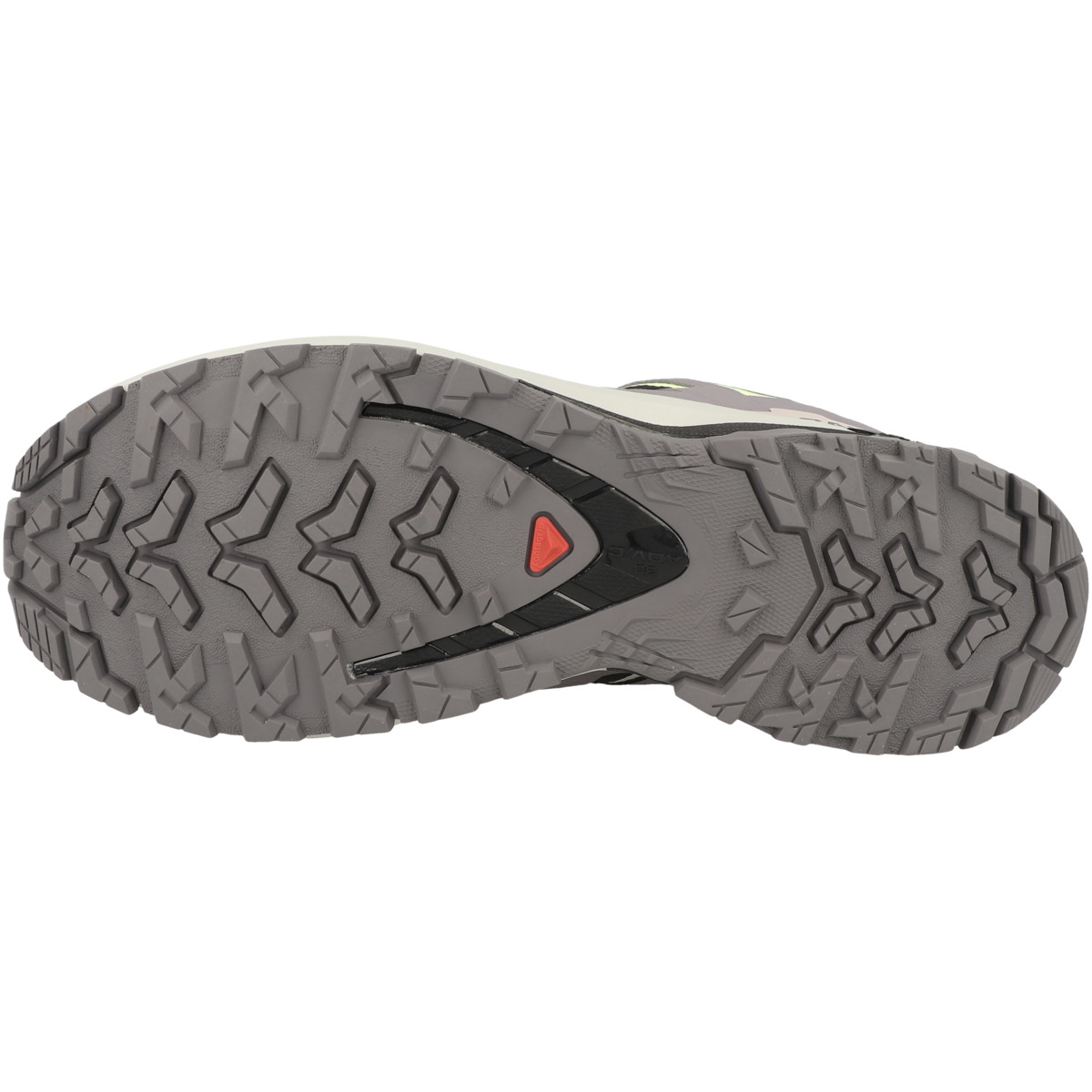 Salomon XA PRO 3D V9 GTX Women Trailrunning Schuhe schwarz