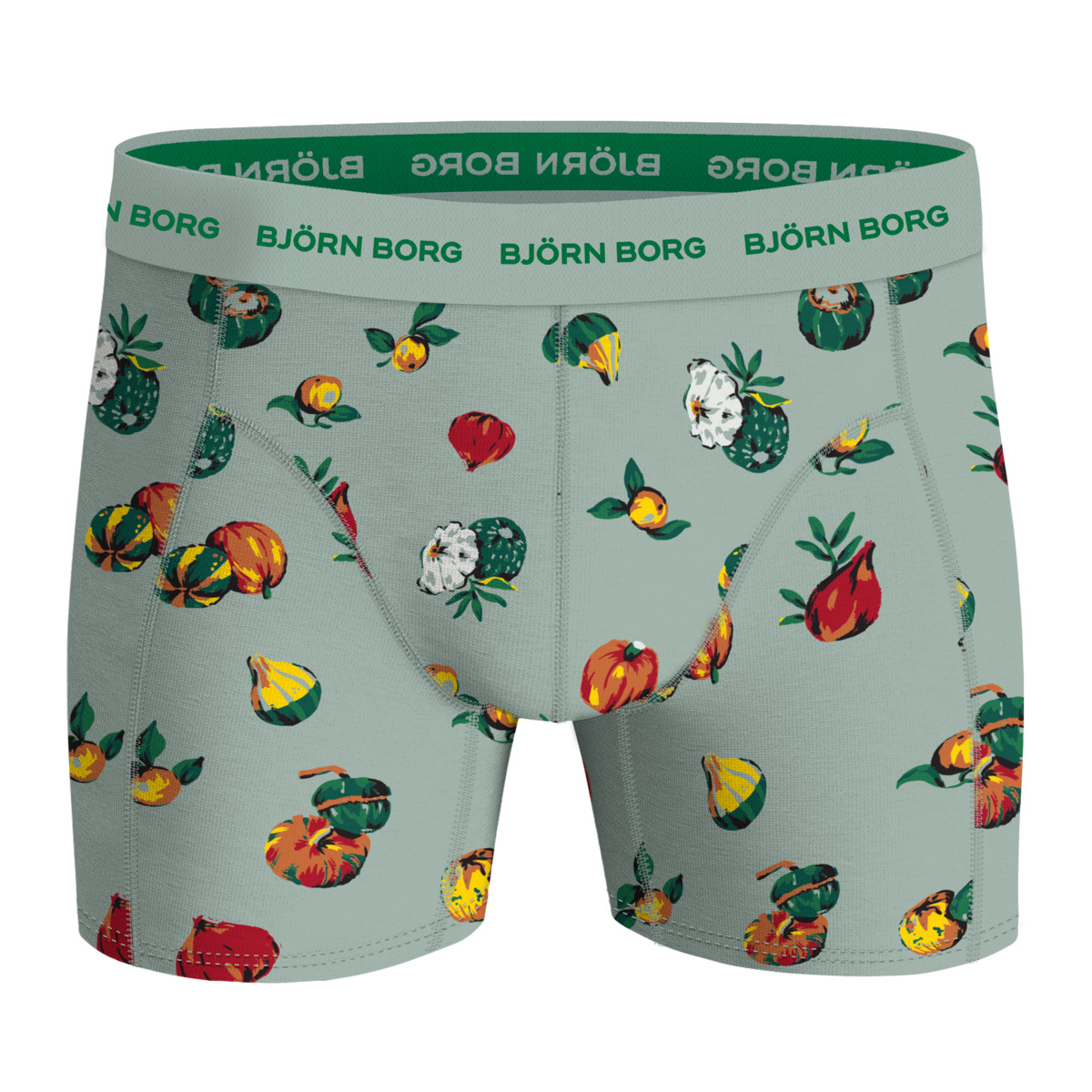 Björn Borg Cotton Stretch Boxer 5er Pack Boxershorts multicolor Björn Borg Cotton Stretch Boxer 5er Pack Boxershorts multicolor